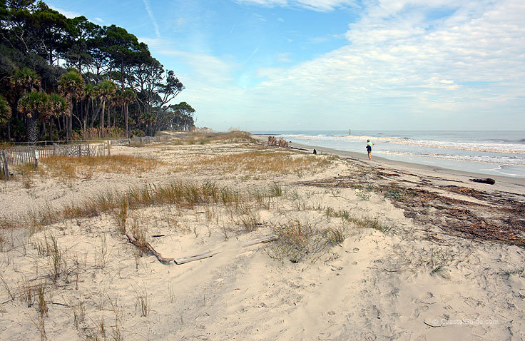 The beach at Hunting island State Park