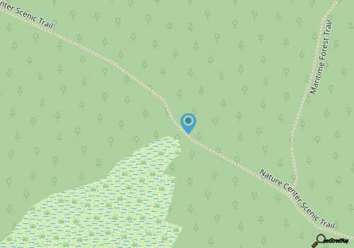 Hunting Island and the Holidays map location