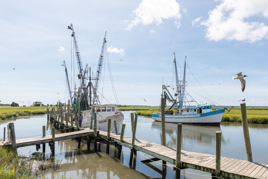 Hunting Island shrimp boats