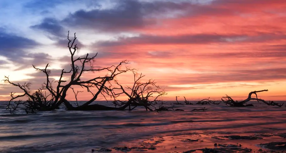 Boneyard Beach Sunrise Adventure