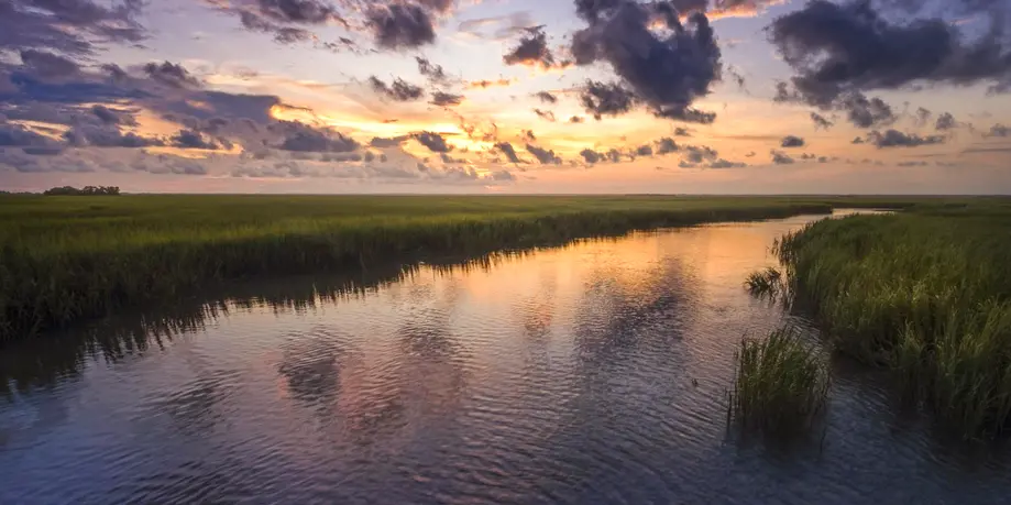 Oak Avenues & Island Marsh Sunset