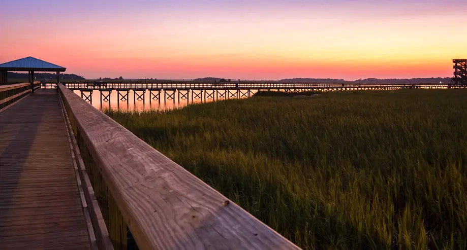 Port Royal Cypress Wetland & River Sunset