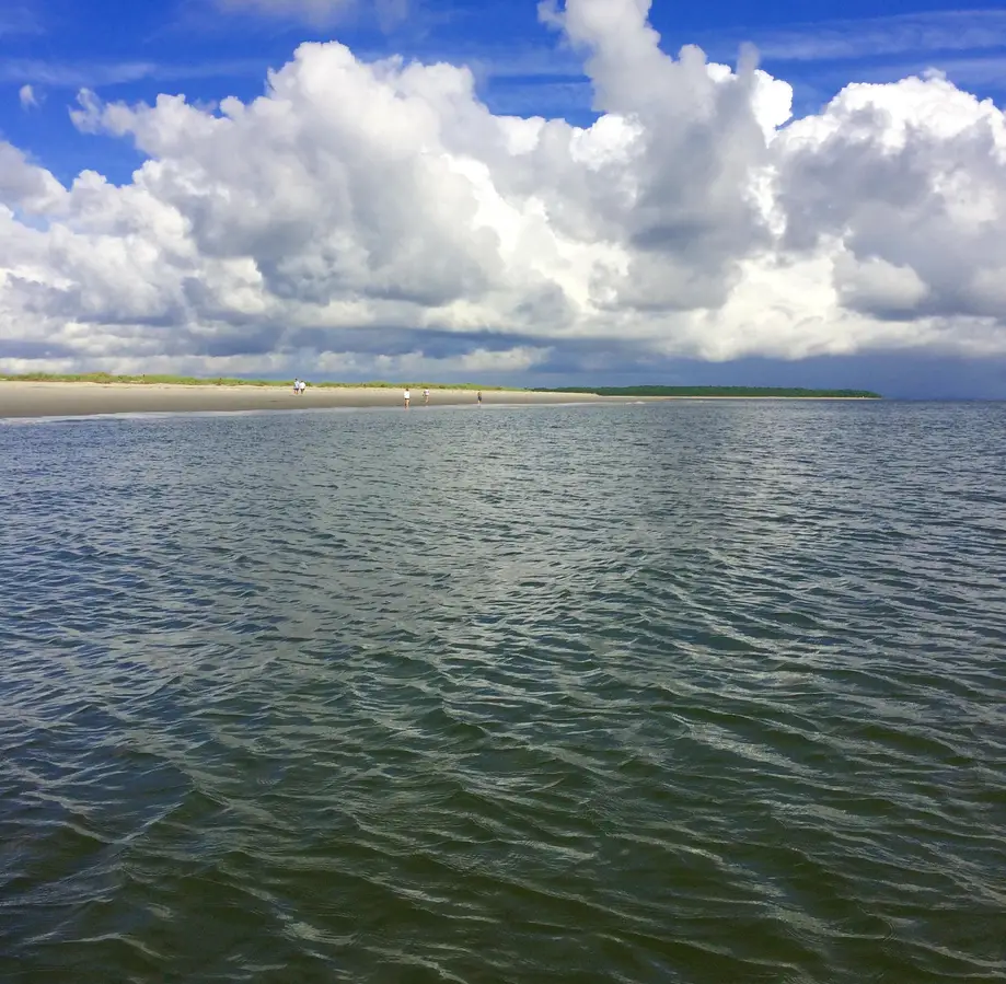 Otter Island Safari