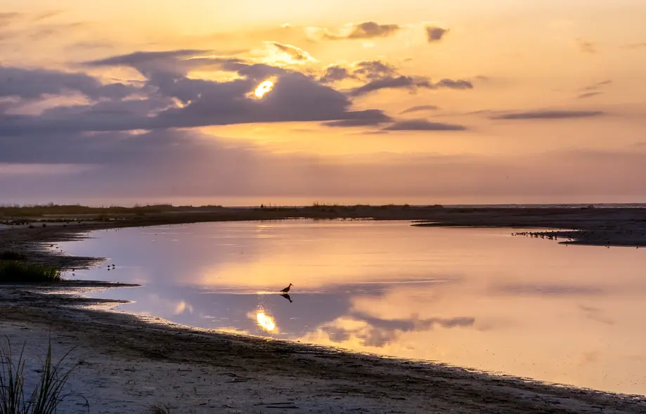 Fripp Island Sunrise