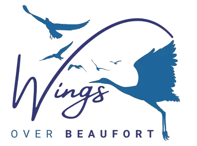 WOB-Hunting Island Boneyard Birding Tour -- 9/21/23 @ 8:30 a.m.