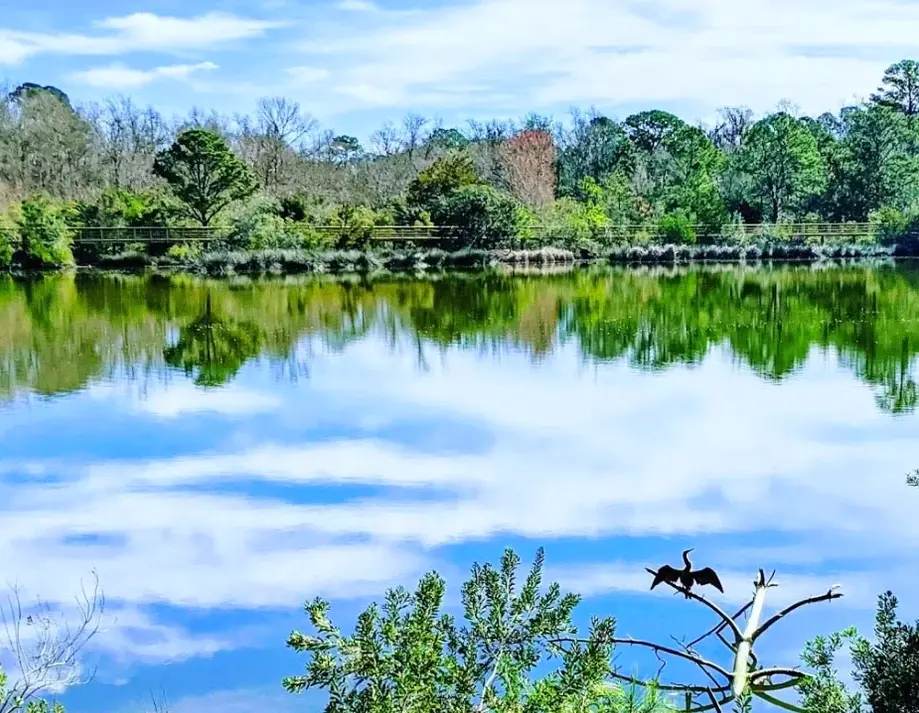 WOB - Crystal Lake Park Birding - Sept. 22, 2023 @ 9:00 a.m.