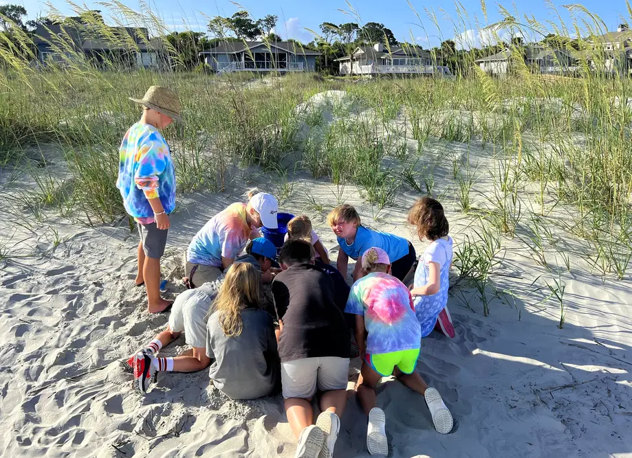 Friday Camp Fripp: Nature Day