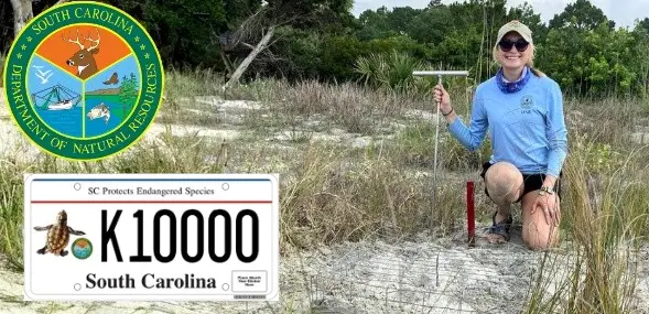 South Carolina Marine Turtle Conservation Program Talk
