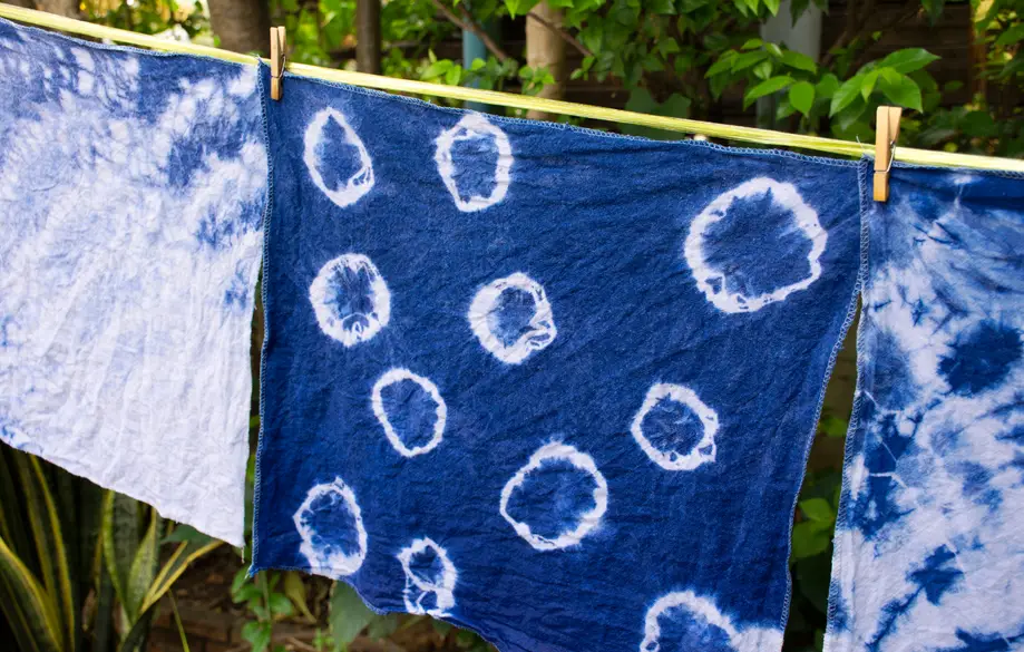 Indigo Dye Workshop