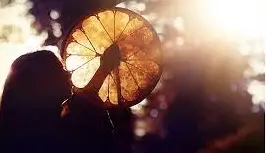 Shaman Journey- December