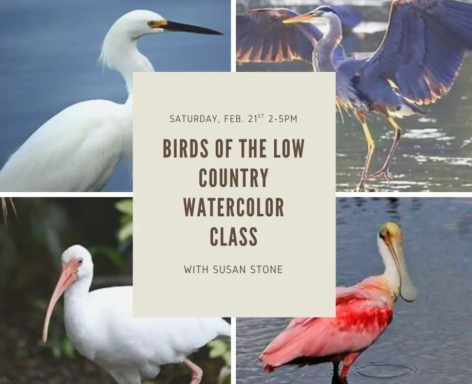 Birds of the Low Country-Watercolor Class